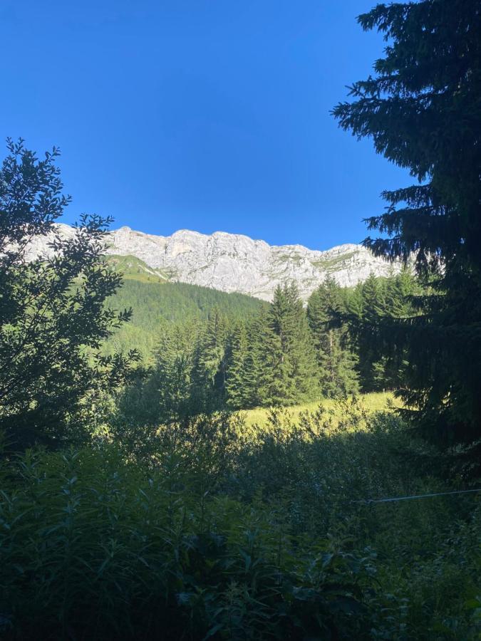 Cretes Du Vercors Vue Magnifique Villard-de-Lans Exterior photo